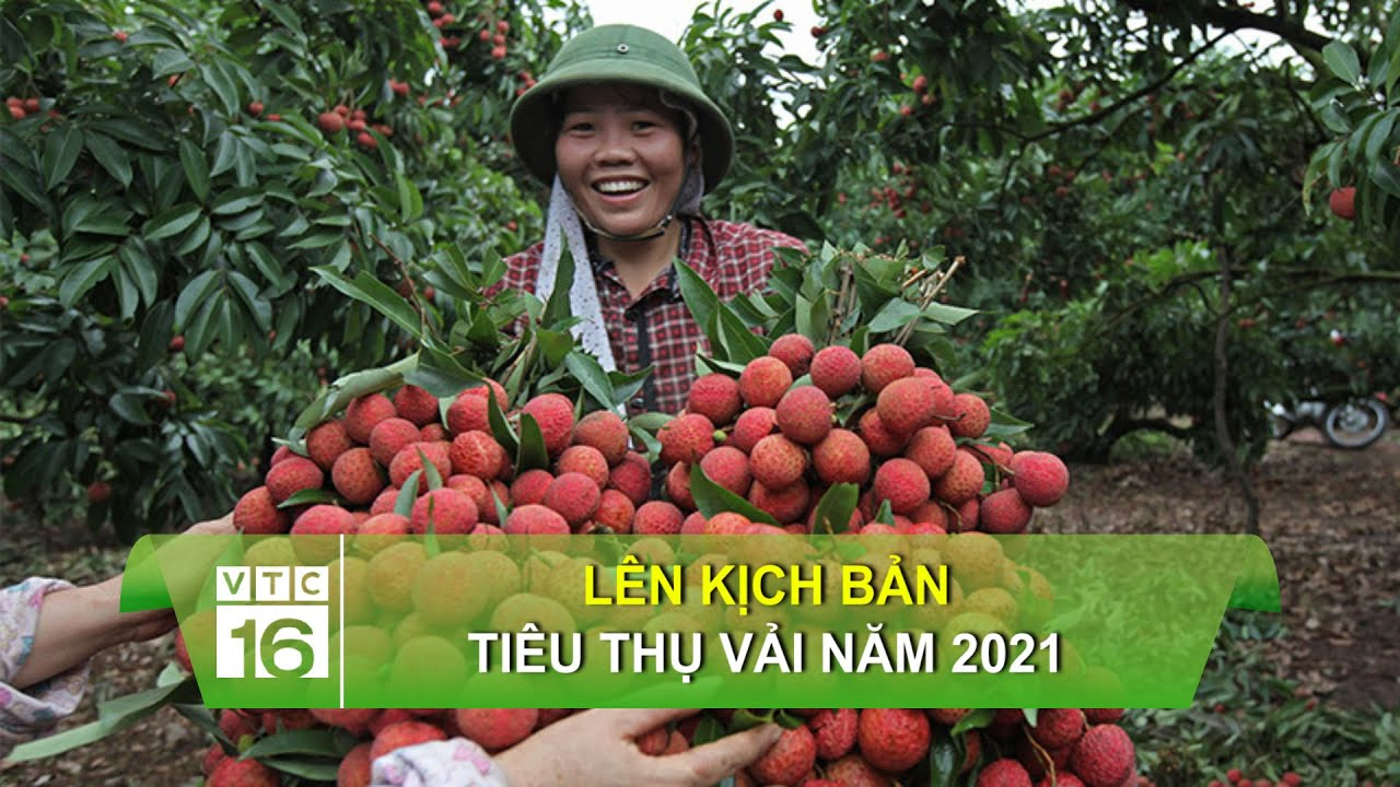 Những loại rau trồng một lần ăn quanh năm