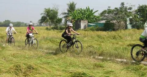 'Con sắp thi lớp 10, cả nhà tôi như bị câm'